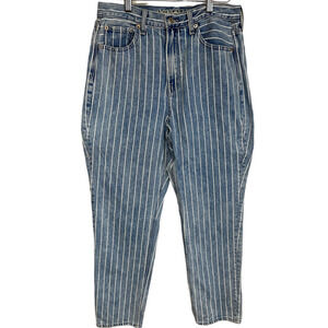 American Eagle Outfitters Striped Light Wash Mom Jean